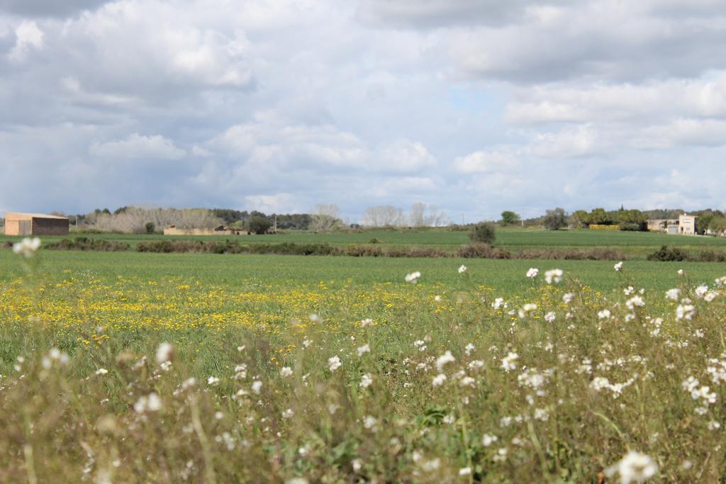 Apartamento L'Essencia De L'Emporda -Girona- Verges Exterior foto